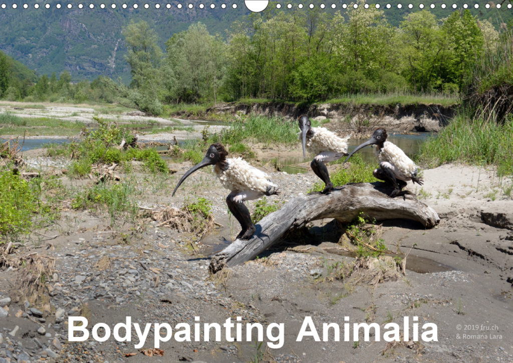Kalender "Bodypainting Animalia"